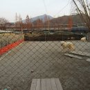 충남켄넬 이미지