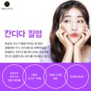 테라화성 이미지