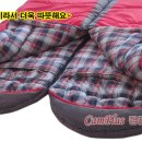 썬파인 이미지
