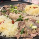자전거탄홍소고집