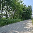 반포대로30길 47 (1) | 종합소득세 신고대상자(골프장 캐디)의 개인회생