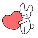 수아동물병원 이미지