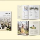혜성디자인 - 2065 | 혜성디자인