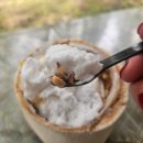 코코넛19 | [치앙마이여행]인생샷 맛집 코코넛마켓 금요일 방문 후기