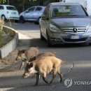 팔마미용실 이미지