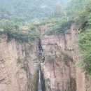 시조본가 이미지