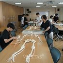 스포츠댄스(강좌번호 : 13) 이미지