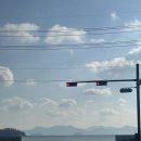 나진별채 이미지