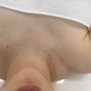 동그란,댕 이미지