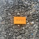 진수분식 | 서귀포분식맛집 만나김밥, 제주 톳김밥의 진수를 맛보다 (주차/메뉴 후기)