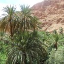 대추나무식당 이미지