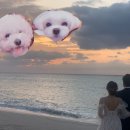 또자펜션 이미지