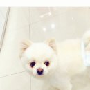 다남로 165번길 이미지