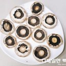 버섯마루 | 송이마루 양송이버섯 파지로 가성비 좋은 찹스테이크 만들기