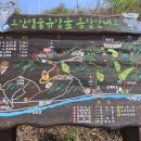 구례 오산 사성암, 꽃 길을 걷다 - 300대 명산(263)