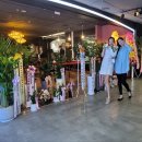 정희축사 이미지