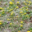 둔덕면보건지소 이미지