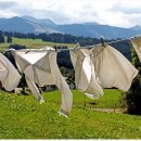 잘사는공인중개사사무소 이미지