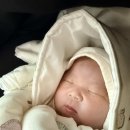 모아산부인과병원 이미지