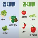 오투팜 이미지