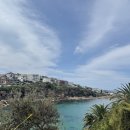 마운틴 | [호주/시드니] 블루마운틴 투어 내돈내산 후기(비오는 날, 날씨, 예약 팁)