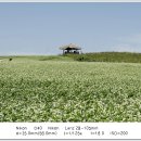 학암농장 이미지