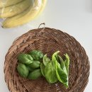 텃밭소분