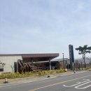 하빈남로 | 제5회 하빈PMZ평화예술센터 벚꽃 나들이 이벤트, 소소한 힐링~