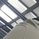 제일홍삼건강원