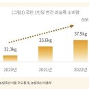 동네과일 이미지