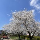 곡성-049 네이버블로그