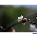 화동마을 이미지