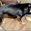 광탄한의원 이미지