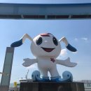 월미도도도 네이버블로그