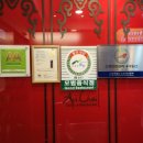 아리차이 이미지