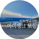 항공 지연 - 마이뱅크 보험후기 / 이탈리아 자유여행...보상 신고서 작성 / 세관신고서 / 캐롯 여행자보험