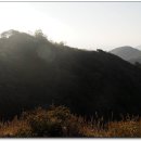 천등산철쭉공원 이미지