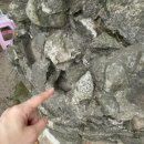 영랑한의원 이미지