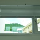 종달구경 이미지