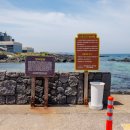 제주담스테이 이미지