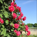 맑음터공원-B 이미지