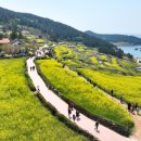 고창-고창-비상-003 이미지