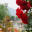 곡성-061 이미지