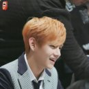 주황 이미지