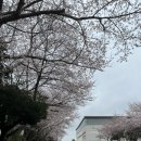 제주종합경기장연정정구장 이미지