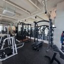 헤라클레스 피트니스 이미지