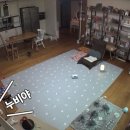 유플러스 씨 이미지