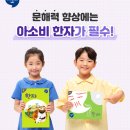 문해력을 높여주는 초등한자 네이버블로그