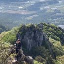 날아라벨라 이미지