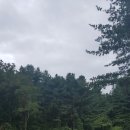 더원행정사사무소 이미지